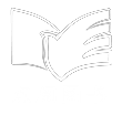 动阅小说网